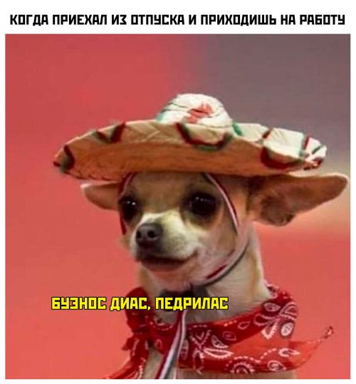 Картинки с надписями и анекдоты