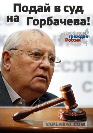 Результаты дрессировки: до и после