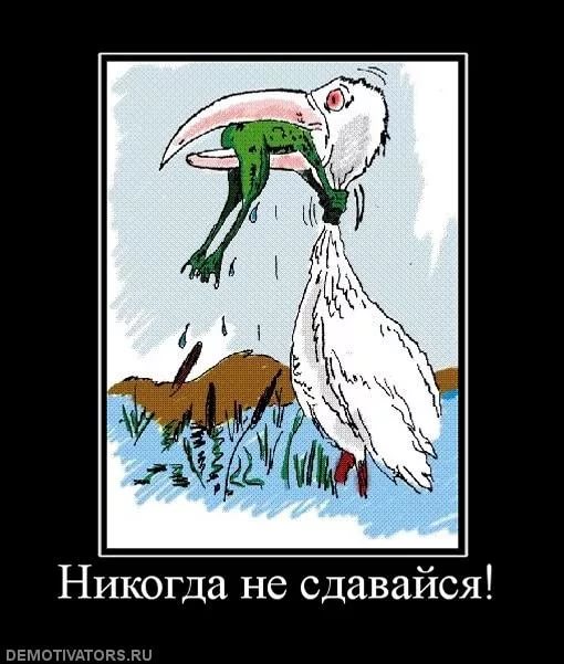 Пумба оборзел