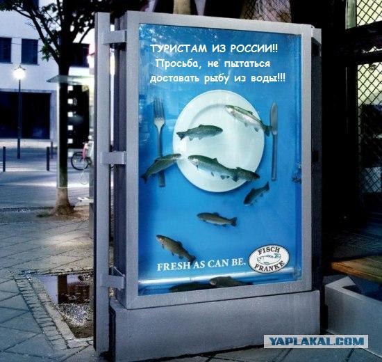 Классная реклама рыбы