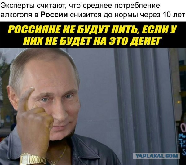 Чуток картинок 28.11.19