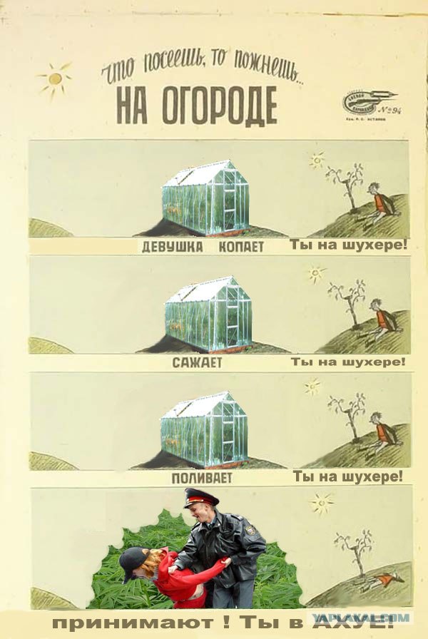 На огороде