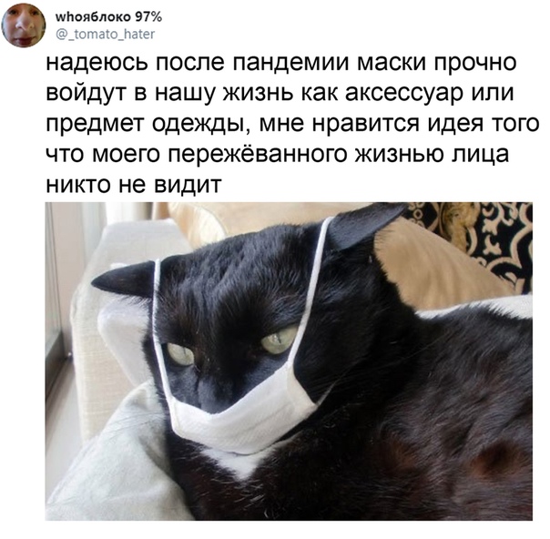 Немного картинок для настроения 01.07.20