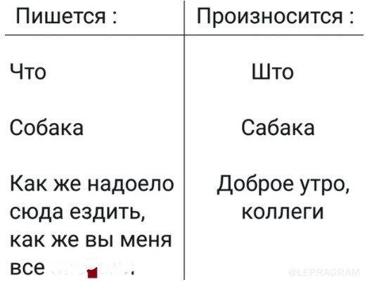 Немного картинок для настроения 02.11.20