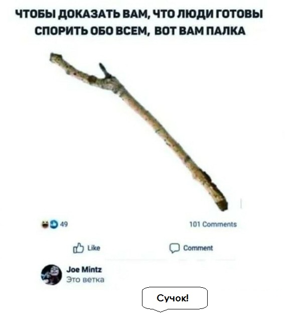 Бредзона 06.11.2020