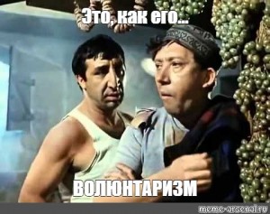 Страна волонтёрия?