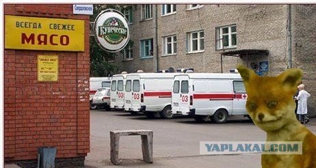 Таксидермия + наркомания