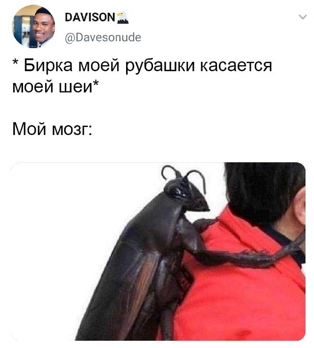 Картинки и мемы для настроения 024
