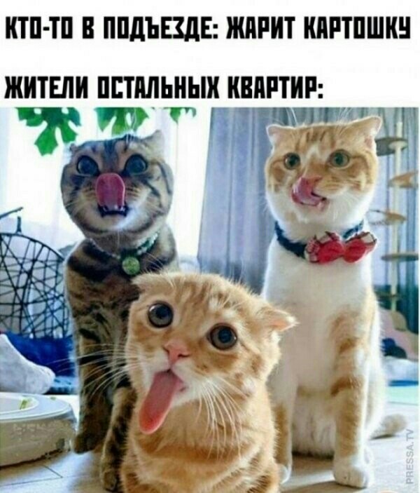 Так себе картинки 08.02.21