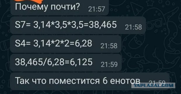 "Здрасьте, я Настя!", коллеги!