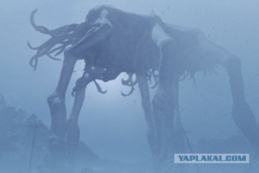 Туман в Мончегорске