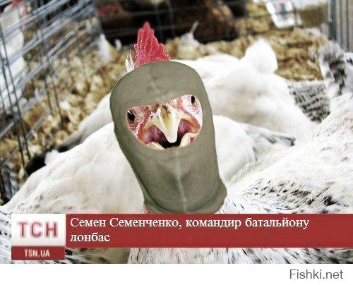 «Найдены со следами жестоких пыток». В Донбассе расследуют преступления ВСУ