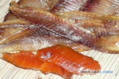 Пивная кружка