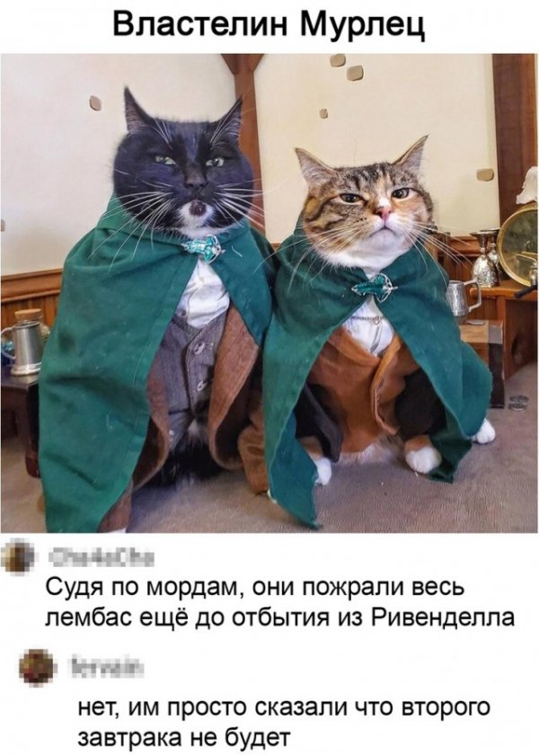 Прикольные и просто красивые картинки 12.01.2022