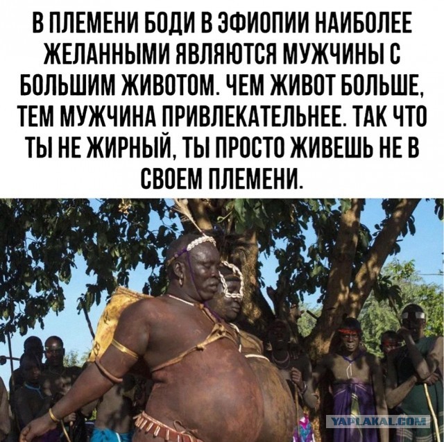 Человек собаке друг и другие картинки под настроение 13.01.2022