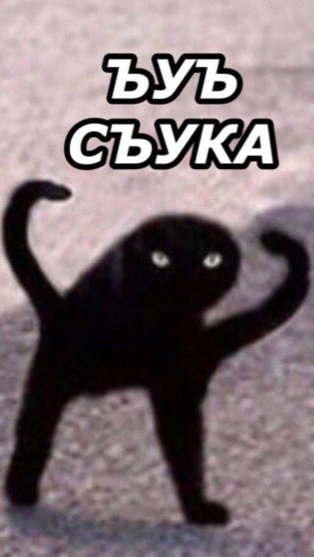Виды хоба