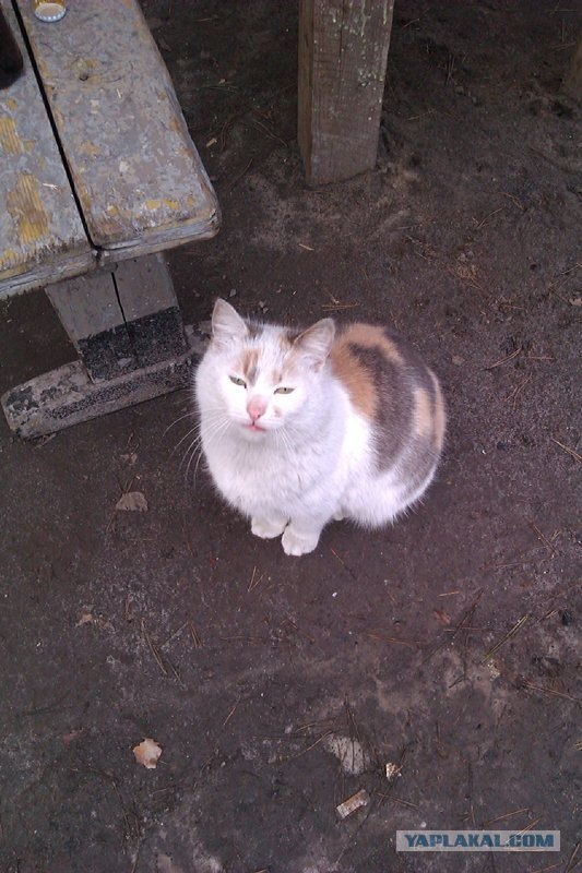 Первая вылазка 1 Апреля