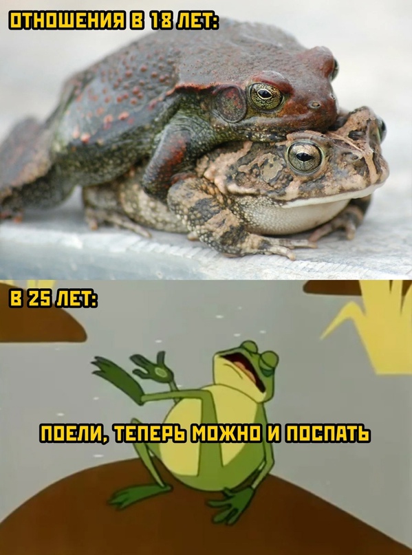 Картинки и мемы для настроения - 29