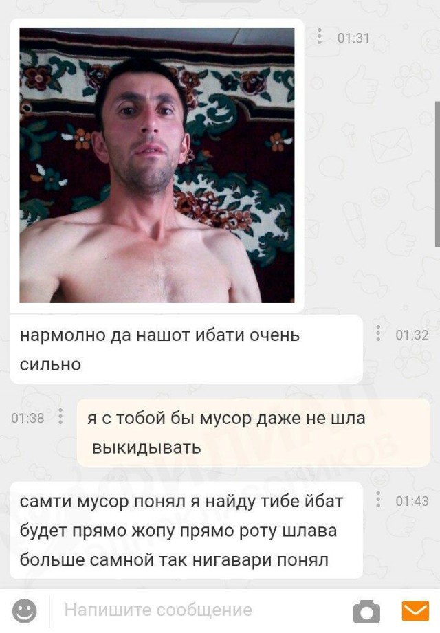 Южане в поисках любви