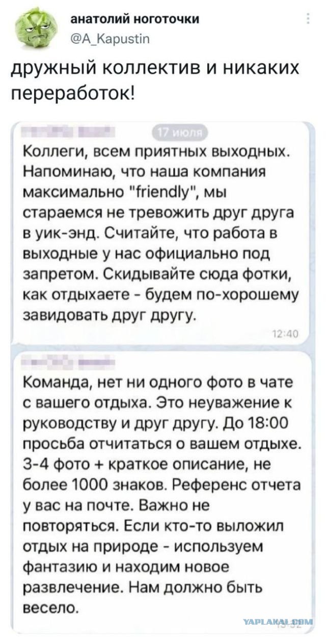 Скриншоты и комментарии из социальных сетей 3.08.22