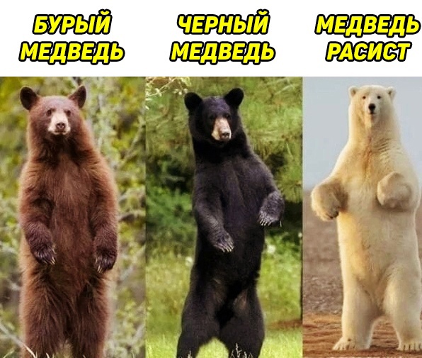 Немного картинок для настроения - 127