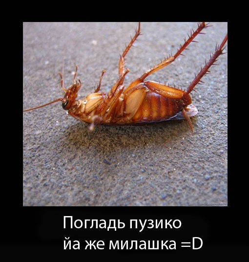 Патриарх Кирилл заболел коронавирусом