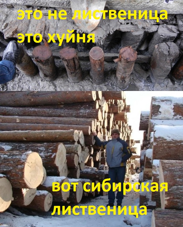 На чем на самом деле стоит Венеция