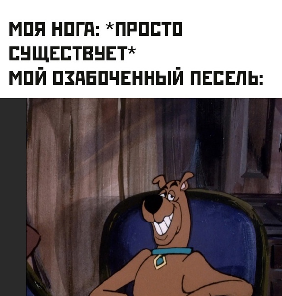 Весёлый полтишок 07.01.23