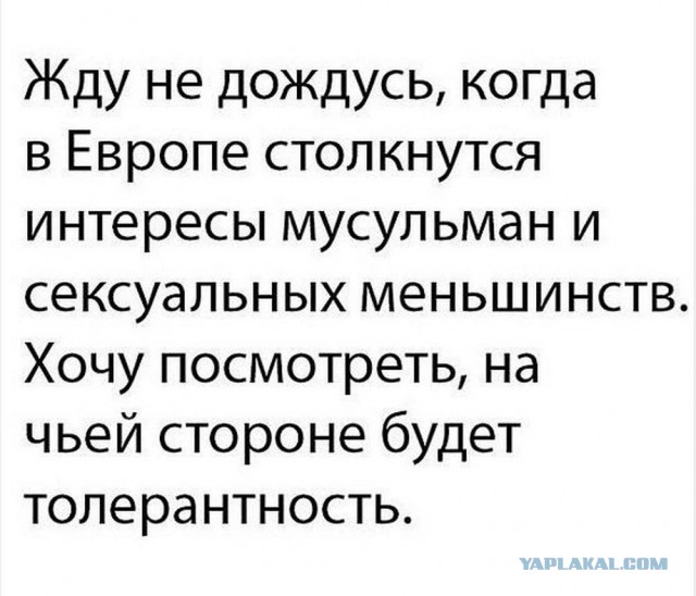 Нуштош 06.07.2023