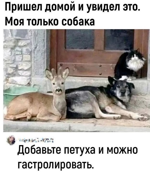 Завалялось тут случайно немного забавных картинок