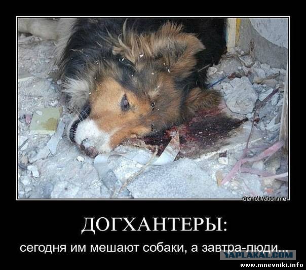 Догхантеров хотят сажать на три года