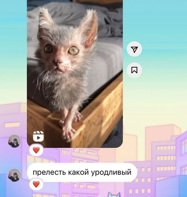 Пятниццо! Баяниццо!