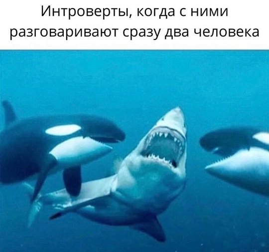 Я тебе еще пригожусь!
