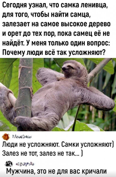 Так себе картинки 15.10.24