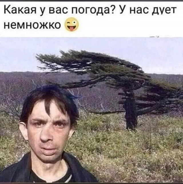 В Новосибирске сегодня ветренно