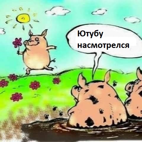 Ну здрасте: Симоньян - YouTube должен быть полностью запрещен