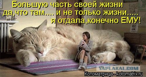 А ты живи с этим