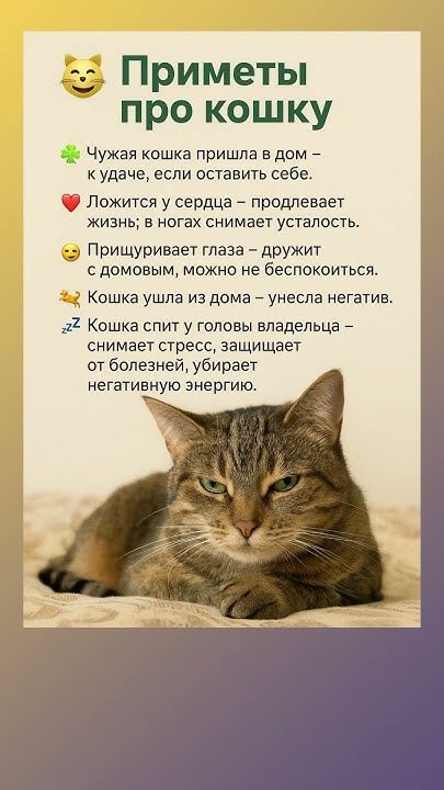 Прикольные и просто красивые картинки 18.11.2025