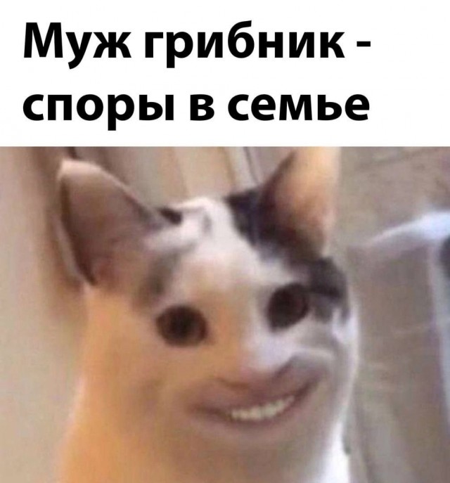 Баянопад
