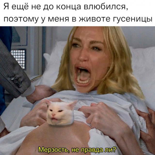 Картинища - баянища