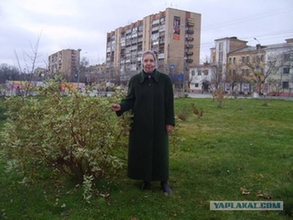 «Не беспокойте нас! Другие живут еще хуже!»