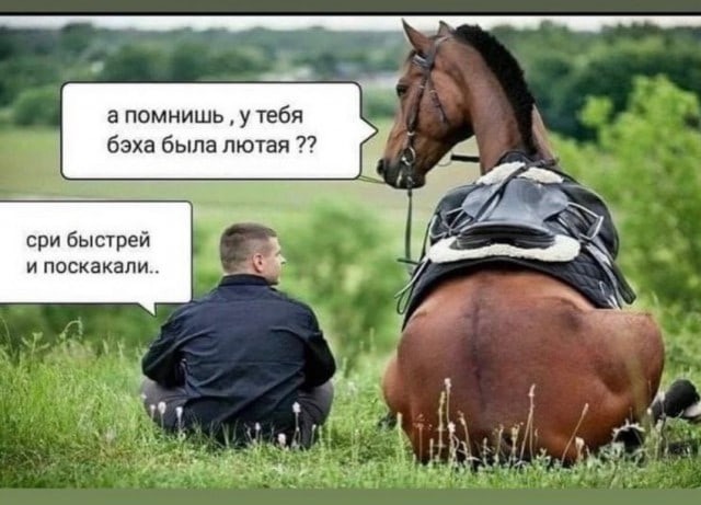 Переходим на гужевой транспорт?