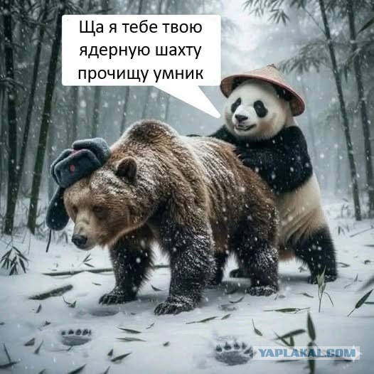На Украине заявили о переговорах с Францией и США о лицензии на ракеты SCALP