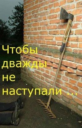 Картинки для деградации 242 (разной степени свежести)