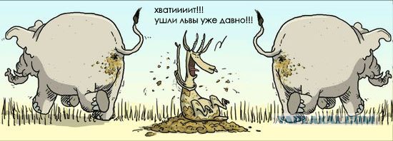 Испортил аппетит