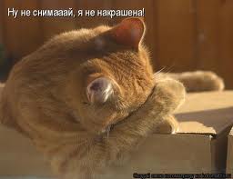 Мужики, это ловушка!