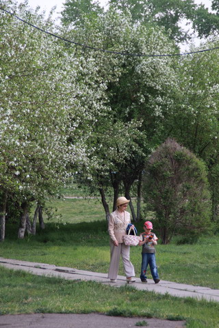 Сухой суперджет 100, Комсомольск-на-Амуре