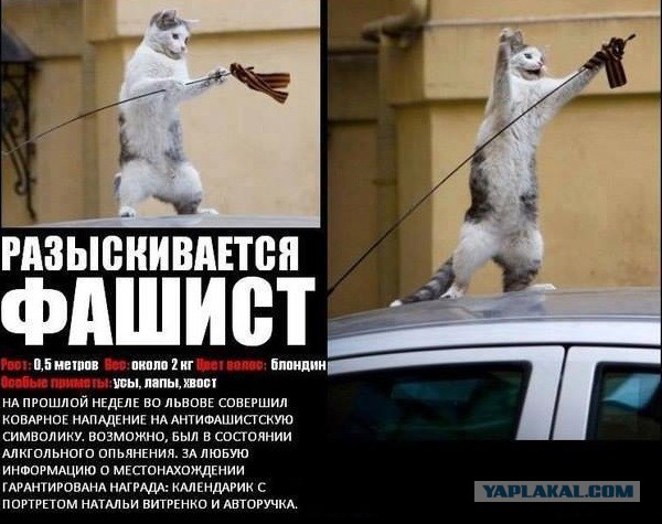 Захват базы Украины в Перевальном