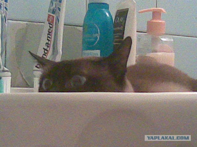 Давай к нам.