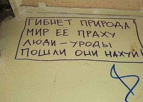 Собака напилась в хлам